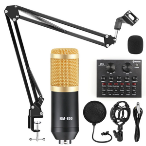 BM 800 Original Microphone